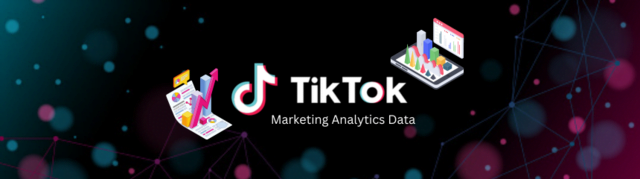 how to get tt analytics Everything You Need to Know About TikTok Marketing in 2023